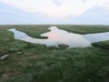 SPO / Bad / Priel bei Flut