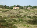 SPO / Boehl / Duene Reethaus