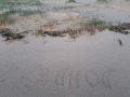 SPO / Bad / Ahoi