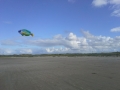 SPO / Ording / Strand Drachen Kugelfisch